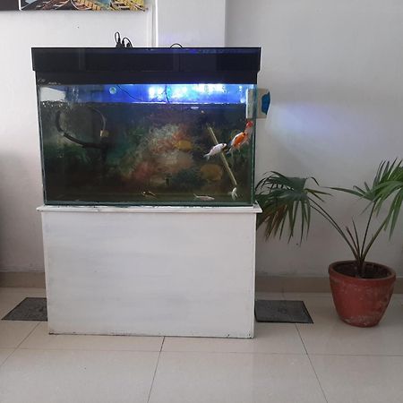 Hotel Lake N Yeti Pokhara Eksteriør bilde