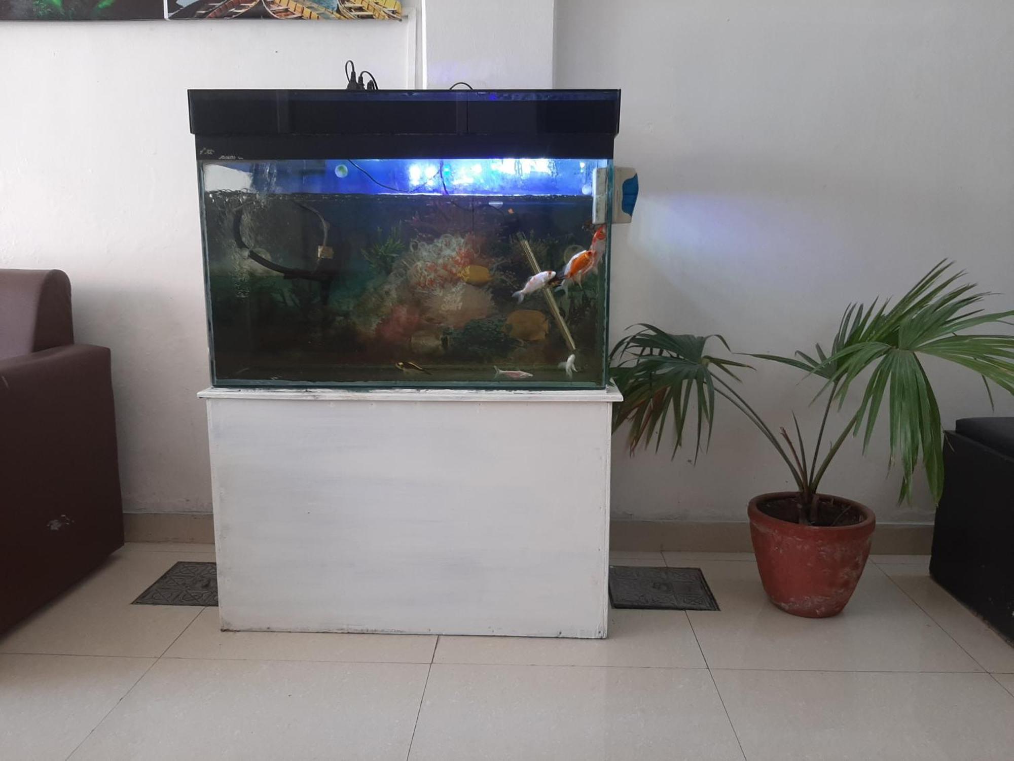 Hotel Lake N Yeti Pokhara Eksteriør bilde